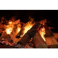 Электрокамин Dimplex Faber e-MatriX 1050/400-III в Бресте