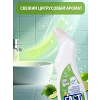 Средство для сантехники FastBuy WC gel Lime (0.75 л)
