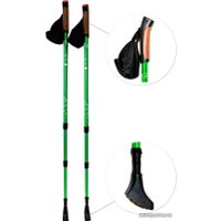 Палки для скандинавской ходьбы Gess Classic Walker GESS-915