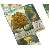Карточная игра Стиль Жизни Смешанный лес