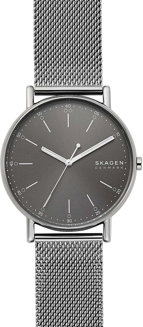 

Наручные часы Skagen SKW6577