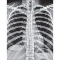 Набор для опытов 4M Юный врач. Скелет человека 00-03375