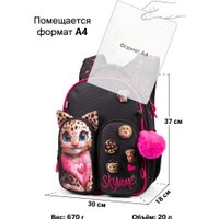 Школьный рюкзак SkyName R9-13 + брелок мишка + значки