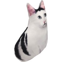 Игрушка-подушка Мальвина Бендер кот мини в Бресте