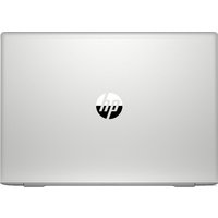 Ноутбук HP ProBook 455 G7 1F3M8EA