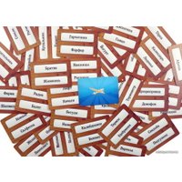 Настольная игра Правильные игры Я Твоя Понимай! 2 (Земля Санникова) в Бресте