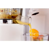 Соковыжималка Eldom PJ405 Sante (бежевый)