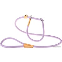 Ошейник с поводком Ferplast Derby GC12/170 75383603 (фиолетовый)