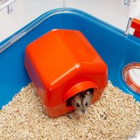 Клетка Ferplast Combi 2 57932599