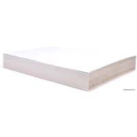 Набор белого картона BRAUBERG Для подшивки документов 124877 (100 л)