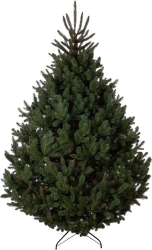 Елка GreenTerra Босния (1.8м)