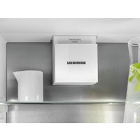 Холодильник Liebherr ICBNSd 5623 Plus BioFresh NoFrost