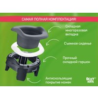 Дорожный горшок Roxy Kids HandyPotty 3 в 1 HP-255DGG (графит)