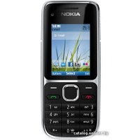 Кнопочный телефон Nokia C2-01