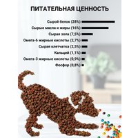 Сухой корм для собак Natural Greatness Salmon Recipe 10 кг