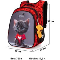 Школьный рюкзак SkyName R1-068 + брелок мишка