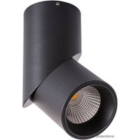 Спот Arte Lamp Orione A7717PL-1BK