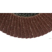 Шлифовальный круг Targ 663408