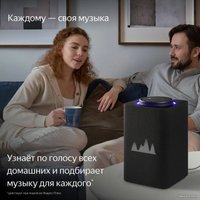 Умная колонка Яндекс Станция Макс (с хабом умного дома Zigbee, графит)