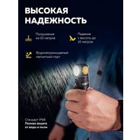 Фонарь FORSAGE F-BF101(54145)