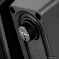 Акустика SVEN 300