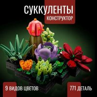 Конструктор King 8868 Суккуленты