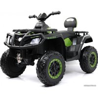 Электроквадроцикл RiverToys T001TT 4WD (зеленый)