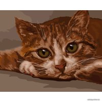 Картина по номерам Три совы Рыжик КХ_44173