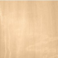 Тюль Belezza Organza 030 Tule T 290x260 (бежевый)