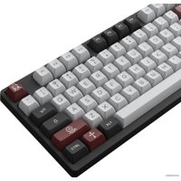 Клавиатура Akko 3098N Dracula Castle (TTC Demon)