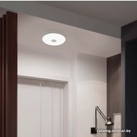 Светильник-тарелка Yeelight Ceiling Light YLXD09YL