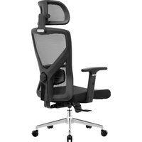 Офисное кресло Evolution ErgoLine 2 (черный)