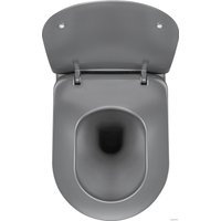 Унитаз подвесной Deante Peonia CDE DZPW (без сиденья)