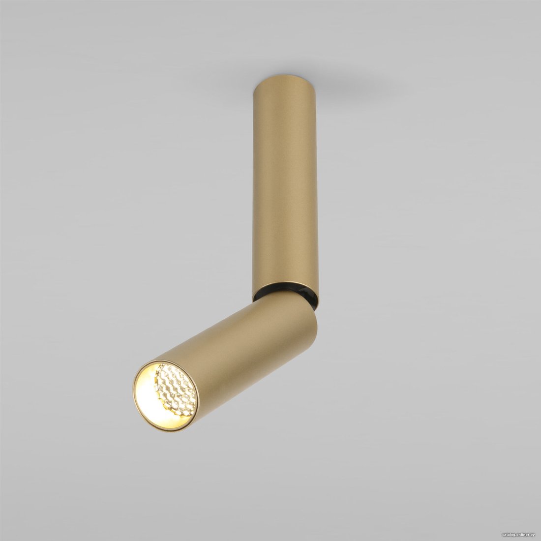 Спот Elektrostandard Pika 1 25029/LED (золотистый)
