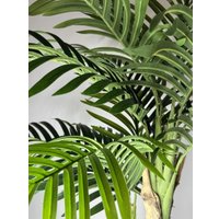 Искусственное растение Merry Bear Home Decor Пальма Ропалостилис Элит A153120 (120см)