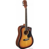 Акустическая гитара Terris TD-045 SB Starter Pack