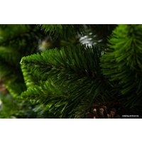 Сосна GreenTerra Рапсодия зеленая 2.2 м