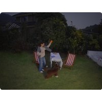 IP-камера TP-Link Tapo C460