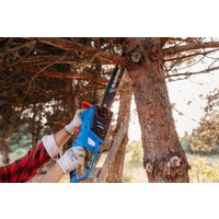 Электрическая пила Blaupunkt CS3010