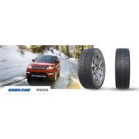 Зимние шины Habilead IceMax RW506 205/60R16 96T XL