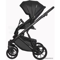 Универсальная коляска Riko Basic Montana Ecco (2 в 1, 12/черный)