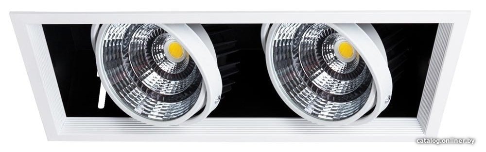 Точечный светильник Arte Lamp Merga A8450PL-2WH