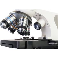 Микроскоп Levenhuk Discovery Atto Polar с книгой 77992