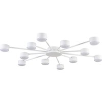 Припотолочная люстра Lumion Torina 8343/12C