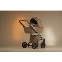 Универсальная коляска Anex E/type 2022 (2 в 1, boho et-SE01)