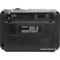 Радиоприемник Ritmix RPR-171