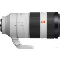 Объектив Sony FE 100-400mm F4.5-5.6 GM OSS [SEL100400GM]