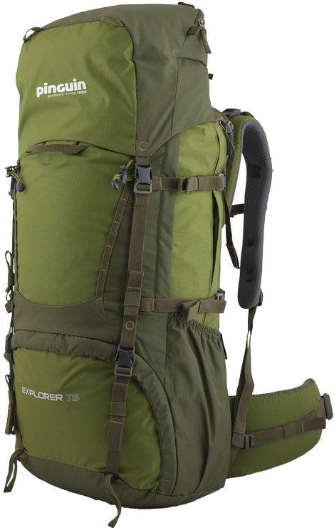 

Туристический рюкзак Pinguin Explorer 100 320145 (зеленый)