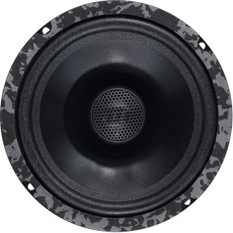 Коаксиальная АС DL Audio Anaconda 165 Coax