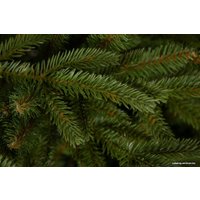 Ель GreenTerra Скандинавская 1.5 м